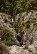 Les cascades d'Arifat - Crédit: @Cirkwi - Tarn Tourisme