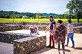 Claracq Lalonquette par la vill ... - Crédit: Syndicat Tourisme Nord Béarn