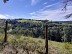 Randonnées de la Trivalle et se ... - Crédit: Sidobre Tourisme