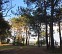 Sentier de la Lobélie - Réserve ... - Crédit: @Cirkwi - OT Médoc Atlantique