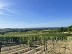 Boucle des coteaux du vignoble  ... - Crédit: @Cirkwi - Gironde Tourisme