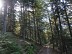 Enduro n°118 - La forêt de l'Ayré - Crédit: @Cirkwi - Agence Touristique des Vallées de Gavarnie