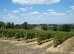 Circuit Paysages des Vignobles  ... - Crédit: @Cirkwi - Comité Départemental du Tourisme 47