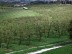 Monteton, randonnée vers les bo ... - Crédit: Joël MACE - CDT 47
