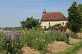 Les trois chapelles - Crédit: @Cirkwi - Office de tourisme Cœur de Béarn