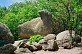 Les rocs de Crémaussel - Crédit: @Cirkwi - Tarn Tourisme