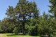 N°82 Arboretum de Payssas - Crédit: @Cirkwi - Office de Tourisme du Haut-Béarn